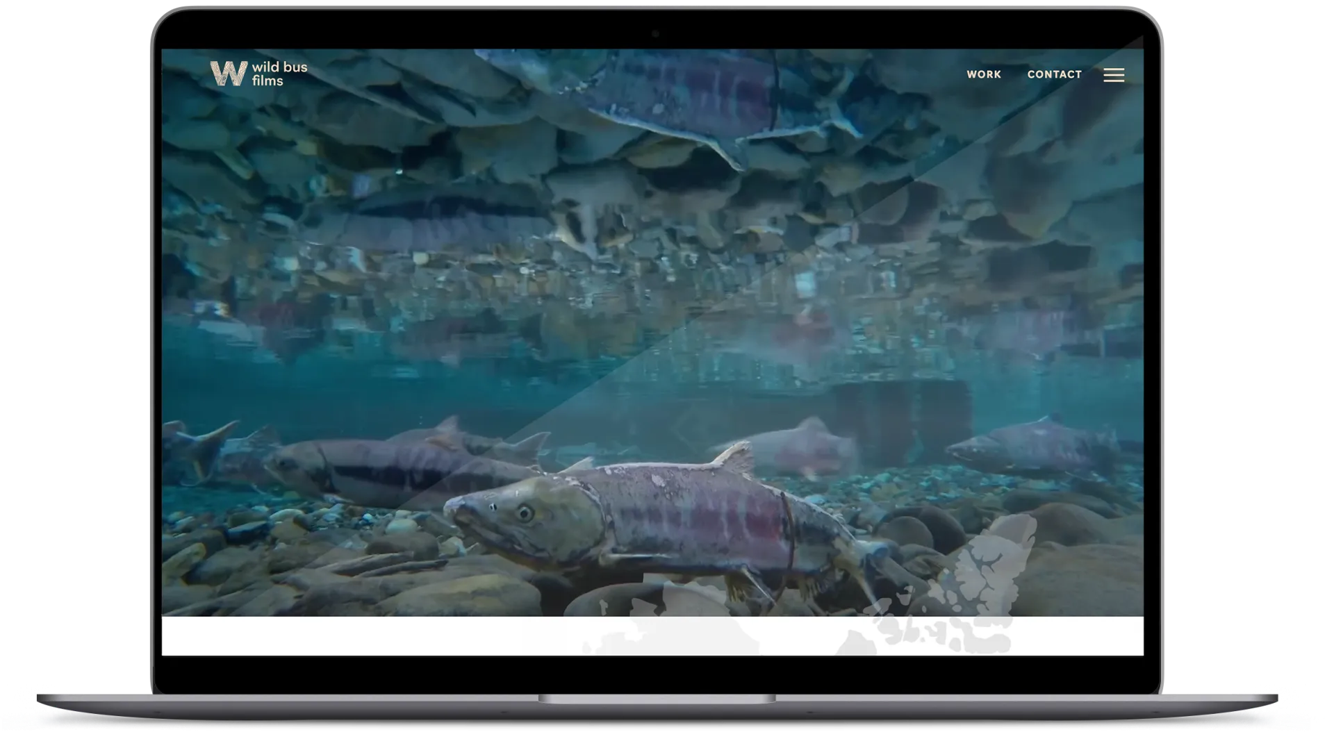 wild mopck 2 1920x1054